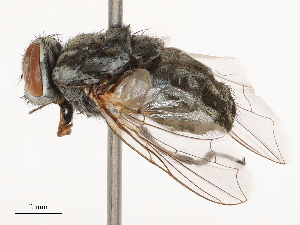  ( - CBG-B02497-E08)  @11 [ ] CreativeCommons - Attribution Share - Alike (2025) CBG Photography Group Centre for Biodiversity Genomics