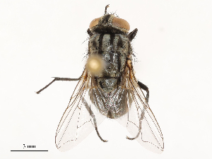  ( - CBG-B02497-E10)  @11 [ ] CreativeCommons - Attribution Share - Alike (2025) CBG Photography Group Centre for Biodiversity Genomics
