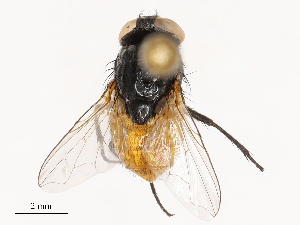  ( - CBG-B03938-A03)  @11 [ ] CreativeCommons - Attribution Share - Alike (2025) CBG Photography Group Centre for Biodiversity Genomics