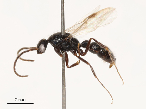  ( - CBG-B03938-F10)  @11 [ ] CreativeCommons - Attribution Share - Alike (2025) CBG Photography Group Centre for Biodiversity Genomics