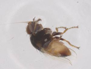  ( - CBG-B03983-E07)  @11 [ ] CreativeCommons - Attribution Share - Alike (2025) Centre for Biodiversity Genomics Centre for Biodiversity Genomics