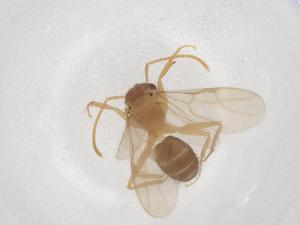  ( - CBG-B20186-E02)  @11 [ ] CreativeCommons - Attribution Share - Alike (2025) Centre for Biodiversity Genomics Centre for Biodiversity Genomics