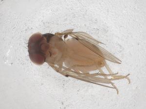  ( - CBG-B20192-B09)  @11 [ ] CreativeCommons - Attribution Share - Alike (2025) Centre for Biodiversity Genomics Centre for Biodiversity Genomics