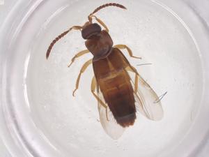  ( - CBG-B20303-A04)  @11 [ ] CreativeCommons - Attribution Share - Alike (2025) Centre for Biodiversity Genomics Centre for Biodiversity Genomics