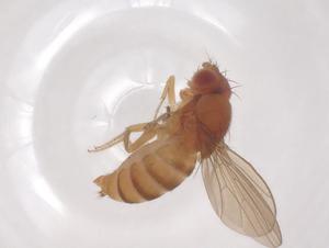  ( - CBG-B20467-F09)  @11 [ ] CreativeCommons - Attribution Share - Alike (2025) Centre for Biodiversity Genomics Centre for Biodiversity Genomics