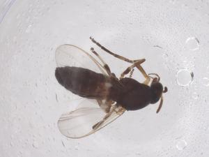  ( - CBG-B20963-D10)  @11 [ ] CreativeCommons - Attribution Share - Alike (2025) Centre for Biodiversity Genomics Centre for Biodiversity Genomics