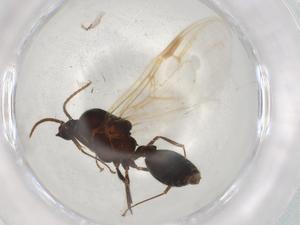  ( - BIOUG87127-B02)  @11 [ ] CreativeCommons - Attribution (2022) Centre for Biodiversity Genomics Centre for Biodiversity Genomics