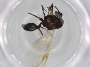  ( - BIOUG89141-E09)  @11 [ ] CreativeCommons - Attribution (2022) Centre for Biodiversity Genomics Centre for Biodiversity Genomics