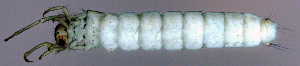  ( - EPAVT186)  @13 [ ] Unspecified (default): All Rights Reserved  Unspecified Unspecified