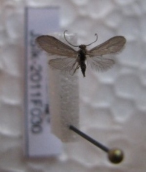  ( - JSlk-2011F030)  @12 [ ] Unspecified (default): All Rights Reserved  Unspecified Unspecified