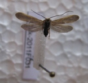  ( - JSlk-2011F031)  @11 [ ] Unspecified (default): All Rights Reserved  Unspecified Unspecified