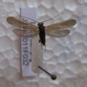  ( - JSlk-2011F032)  @11 [ ] Unspecified (default): All Rights Reserved  Unspecified Unspecified