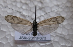  ( - JSlk-2011F073)  @13 [ ] Unspecified (default): All Rights Reserved  Unspecified Unspecified