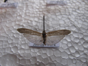  ( - JSlk-2011F074)  @12 [ ] Unspecified (default): All Rights Reserved  Unspecified Unspecified