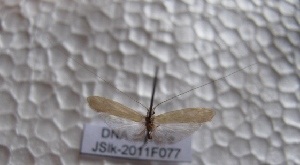  ( - JSlk-2011F077)  @13 [ ] Unspecified (default): All Rights Reserved  Unspecified Unspecified