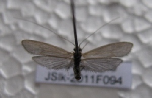  ( - JSlk-2011F094)  @12 [ ] Unspecified (default): All Rights Reserved  Unspecified Unspecified