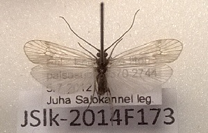  ( - JSlk-2014F173)  @12 [ ] CreativeCommons - Attribution Non-Commercial (2015) Juha Salokannel University of Oulu