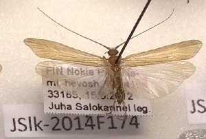  ( - JSlk-2014F174)  @12 [ ] CreativeCommons - Attribution Non-Commercial (2015) Juha Salokannel University of Oulu