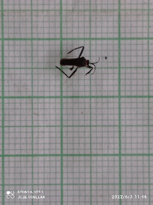  ( - IAvH-TRI-MAC0018-8)  @11 [ ] Copyright (2022) Instituto de Investigaciones Alexander von Humboldt (IAvH) Instituto de Investigaciones Alexander von Humboldt (IAvH)