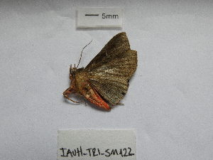  ( - IAvH-TRI-SM122)  @11 [ ] Copyright (2023) Instituto de Investigacion Alexander von Humboldt (IAvH) Instituto de Investigacion Alexander von Humboldt (IAvH)