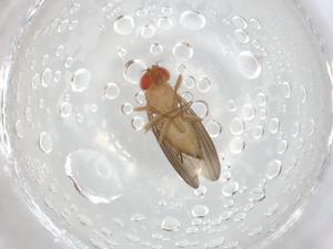  ( - BIOUG93790-B10)  @11 [ ] CreativeCommons - Attribution (2022) Centre for Biodiversity Genomics Centre for Biodiversity Genomics