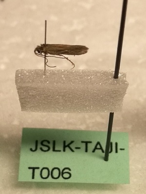  ( - JSLK-TAJI-T006)  @11 [ ] CreativeCommons - Attribution Non-Commercial (2018) Juha Salokannel University of Oulu