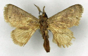  ( - MJC_840)  @11 [ ] CC-BY-NC (2025) Matthew J.W. Cock Unspecified