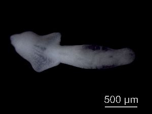  ( - Diplo1_I7_LdKU8_A14.1)  @13 [ ] No Rights Reserved (2014) Unspecified Environment Canada