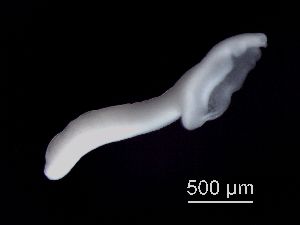  ( - Diplo4_I10_LdW38_A10.1)  @13 [ ] No Rights Reserved (2014) Unspecified Environment Canada