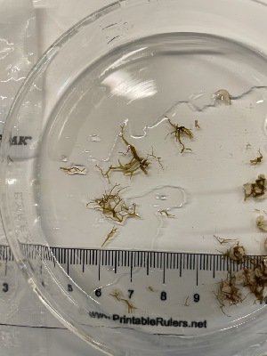  ( - ESC_132_A)  @11 [ ] Unspecified (default): All Rights Reserved  Unspecified Unspecified