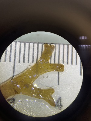  ( - ESC_147_A)  @11 [ ] Unspecified (default): All Rights Reserved  Unspecified Unspecified