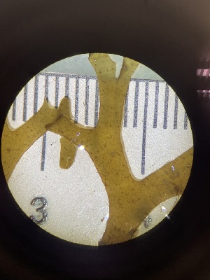  ( - ESC_147_A)  @11 [ ] Unspecified (default): All Rights Reserved  Unspecified Unspecified