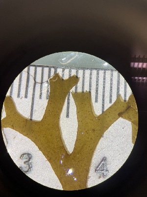  ( - ESC_147_A)  @11 [ ] Unspecified (default): All Rights Reserved  Unspecified Unspecified