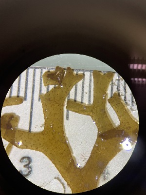  ( - ESC_147_A)  @11 [ ] Unspecified (default): All Rights Reserved  Unspecified Unspecified