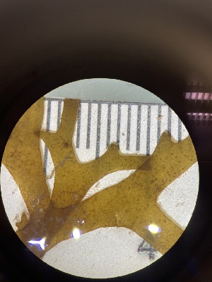  ( - ESC_147_A)  @11 [ ] Unspecified (default): All Rights Reserved  Unspecified Unspecified