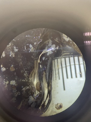  ( - ESC_97_A)  @11 [ ] Unspecified (default): All Rights Reserved  Unspecified Unspecified