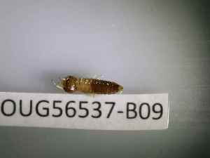 ( - BIOUG56537-B09)  @11 [ ] CreativeCommons Attribution (2023) Department of Invertebrate Zoology and Hydrobiology Department of Invertebrate Zoology and Hydrobiology