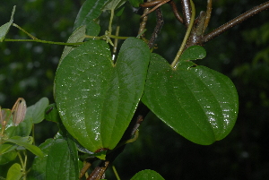  ( - OM2372)  @11 [ ] Unspecified (default): All Rights Reserved  Unspecified Unspecified
