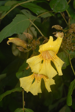  ( - OM2375)  @11 [ ] Unspecified (default): All Rights Reserved  Unspecified Unspecified