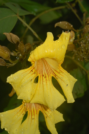  ( - OM2375)  @11 [ ] Unspecified (default): All Rights Reserved  Unspecified Unspecified