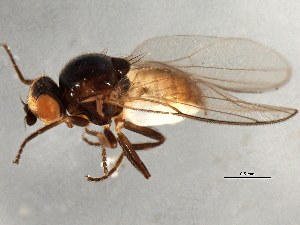  ( - 08TTML-1423)  @13 [ ] CreativeCommons - Attribution (2010) CBG Photography Group Centre for Biodiversity Genomics