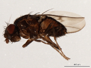  ( - 08TTML-1880)  @12 [ ] CreativeCommons - Attribution (2010) CBG Photography Group Centre for Biodiversity Genomics