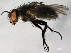  ( - 08TTML-2119)  @14 [ ] CreativeCommons - Attribution (2010) CBG Photography Group Centre for Biodiversity Genomics