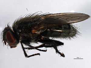  ( - 08TTML-2351)  @14 [ ] CreativeCommons - Attribution (2010) CBG Photography Group Centre for Biodiversity Genomics