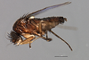  ( - PROBE-TW0138)  @11 [ ] CreativeCommons - Attribution (2009) CBG Photography Group Centre for Biodiversity Genomics
