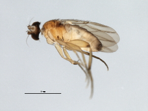  ( - MTDIC-0122)  @13 [ ] CreativeCommons - Attribution (2009) CBG Photography Group Centre for Biodiversity Genomics