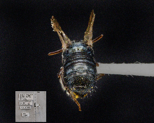  ( - UAIC1138885)  @11 [ ] by (2023) Glenn Seplak Arizona-Sonora Desert Museum