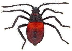  ( - UAIC1139571)  @11 [ ] Copyright  Salvador Vitanza Unspecified