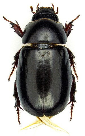  ( - UAIC1151195)  @11 [ ] Copyright  Salvador Vitanza Unspecified