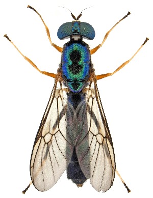  ( - UAIC1151759)  @11 [ ] Copyright  Salvador Vitanza Unspecified